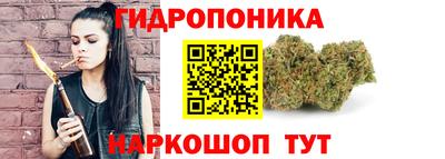 МДПВ Гусь-Хрустальный
