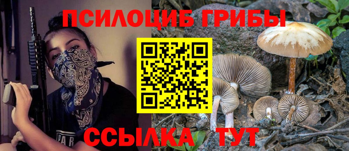Псилоцибиновые грибы мухоморы Ессентуки
