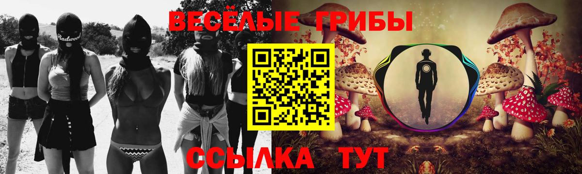 Ессентуки  Галлюциногенные грибы Psilocybe  Вход с VPN 
